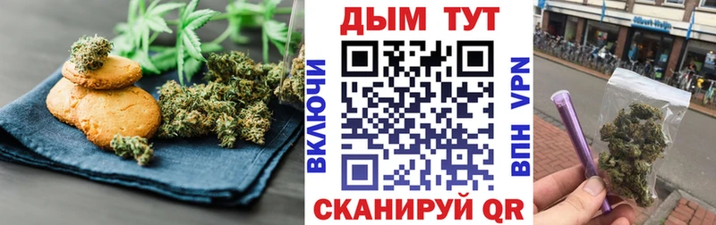 Cannafood марихуана  наркошоп  Иннополис 